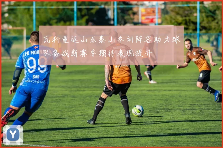 瓦科重返山东泰山冬训阵容助力球队备战新赛季期待表现提升