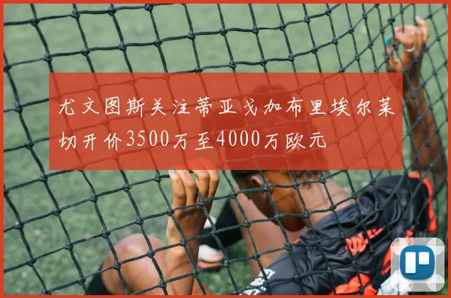 尤文图斯关注蒂亚戈加布里埃尔莱切开价3500万至4000万欧元